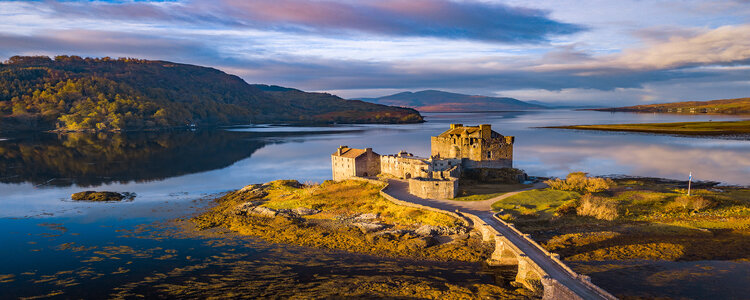 ANGLO