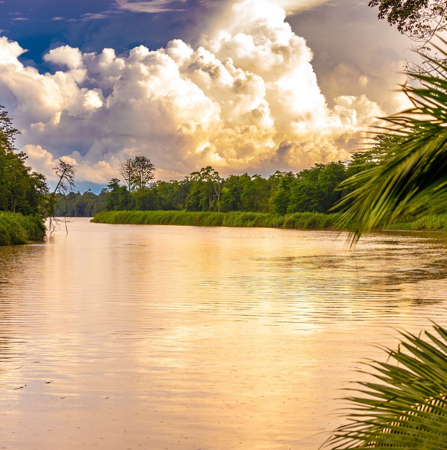 BORNEO Y JAVA AL COMPLETO