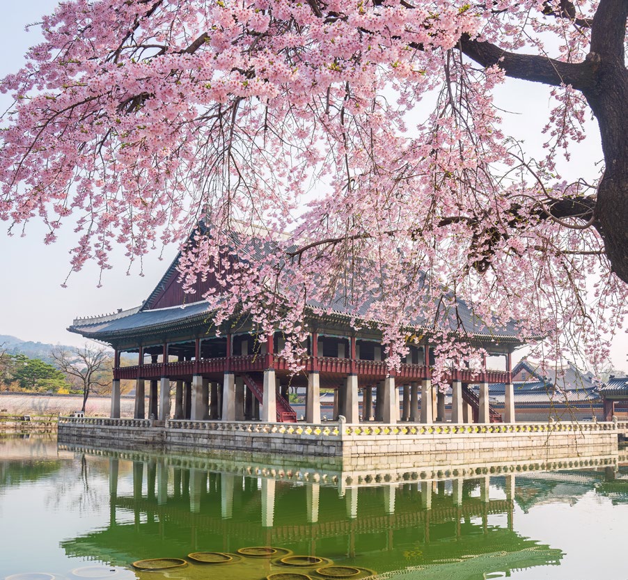 COREA A TU ALCANCE