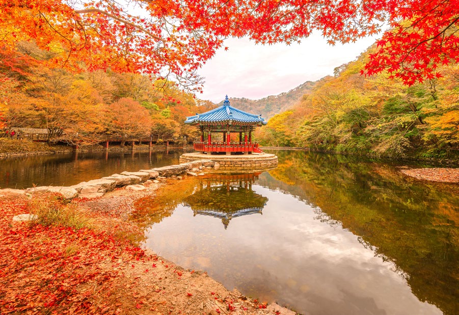 COREA A TU ALCANCE Y JEJU