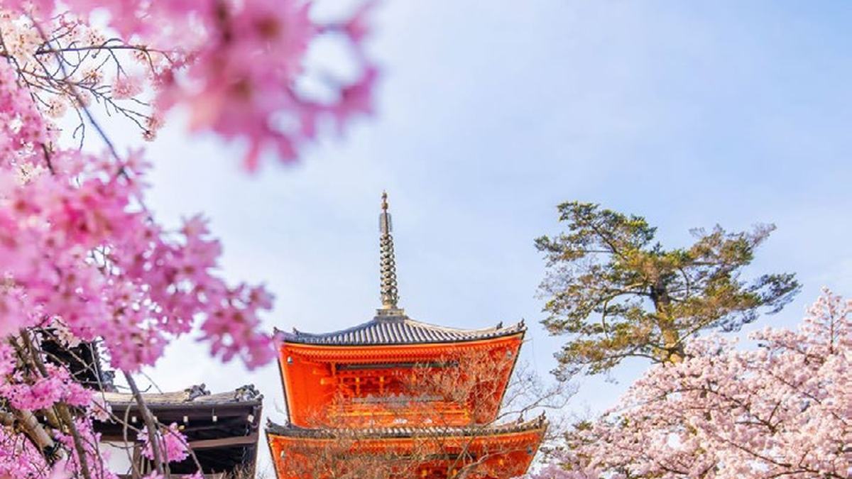 Corea Escénica y Rincones de Japón Fin Sapporo