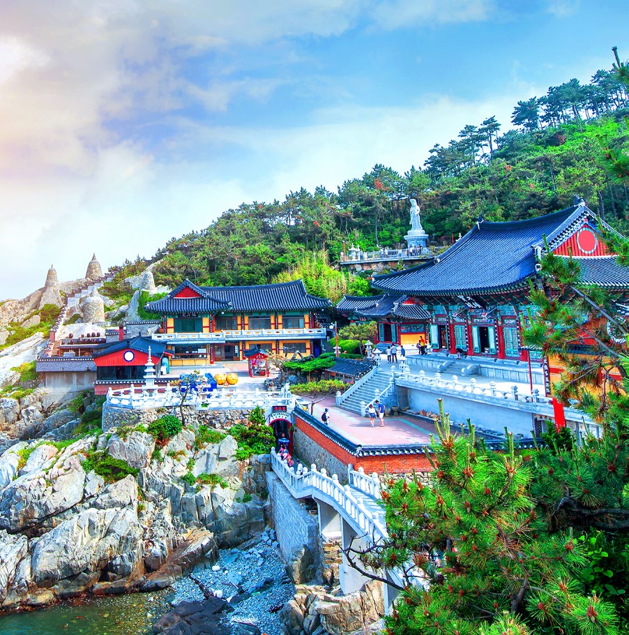 COREA MULTICOLOR