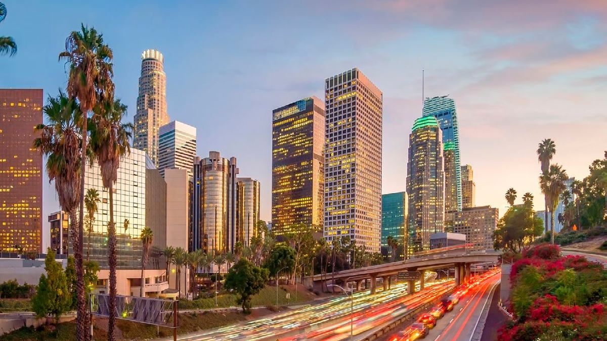 Costa Californiana, Chicago y NY Fin Was