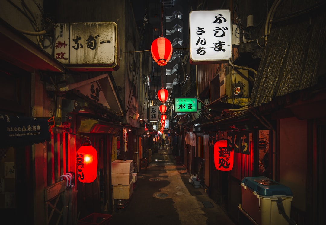 Descubre el Japón Escondido