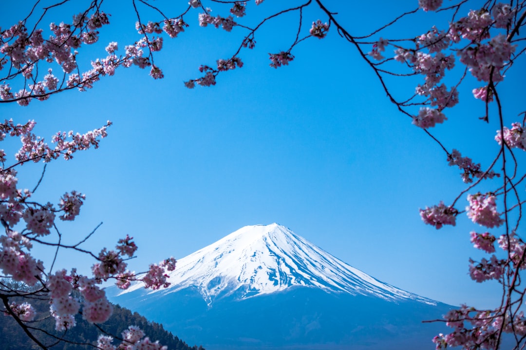 Descubre Japon Fin Sapporo
