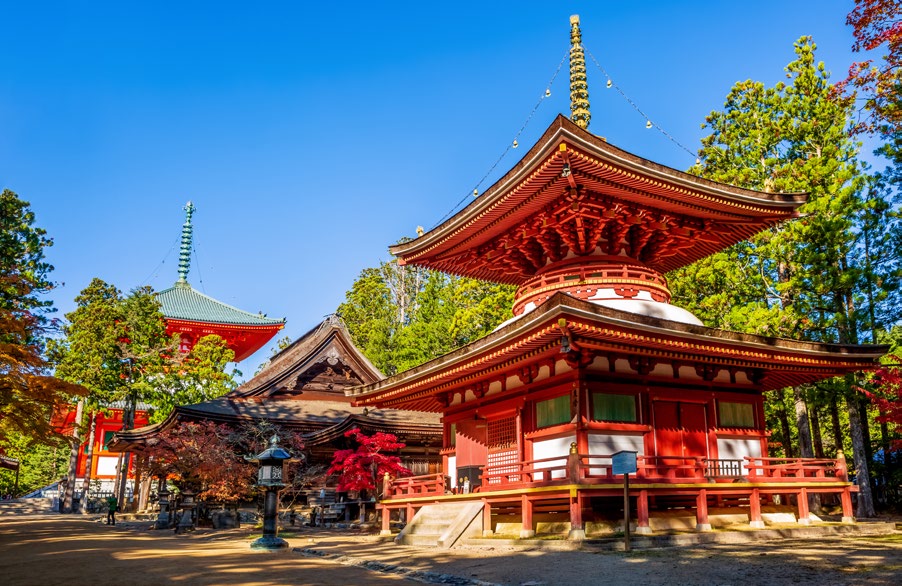 ESPÍRITU JAPONÉS