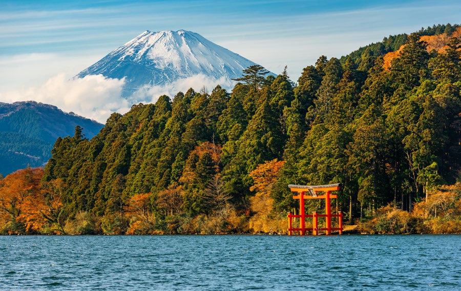 JAPÓN BANZAI