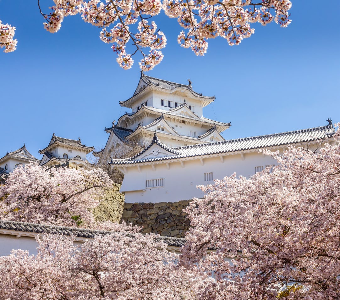 JAPÓN, CULTURA Y COMPRAS