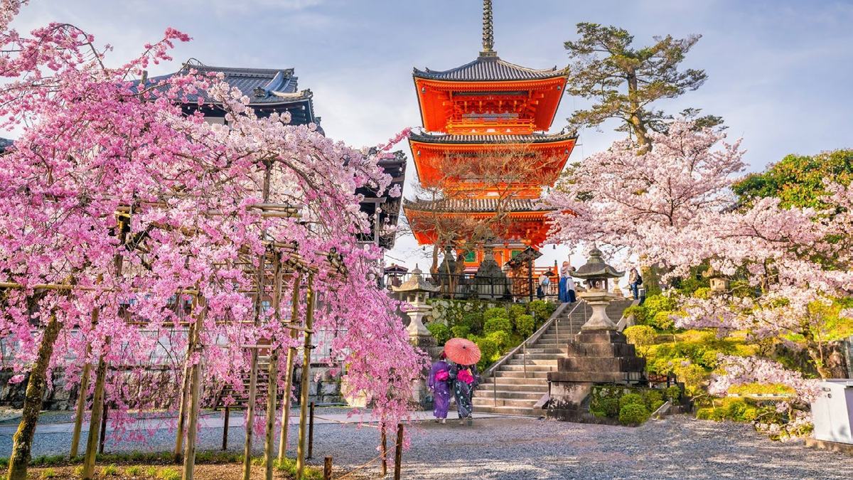 Japón Esencial y Corea al Completo
