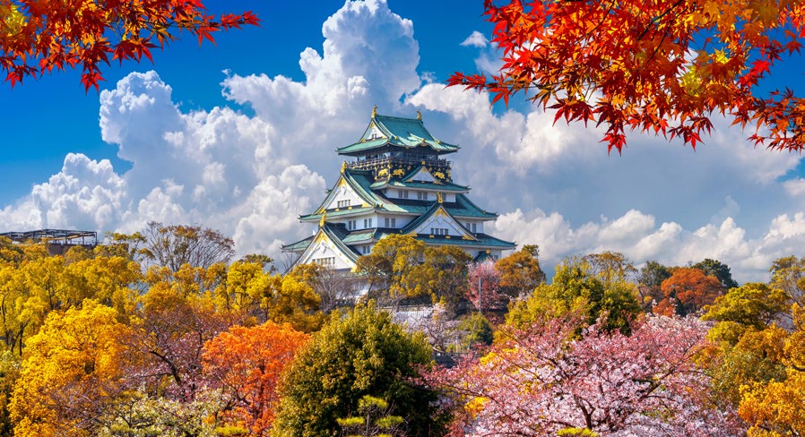 JAPÓN Y COREA DEL SUR