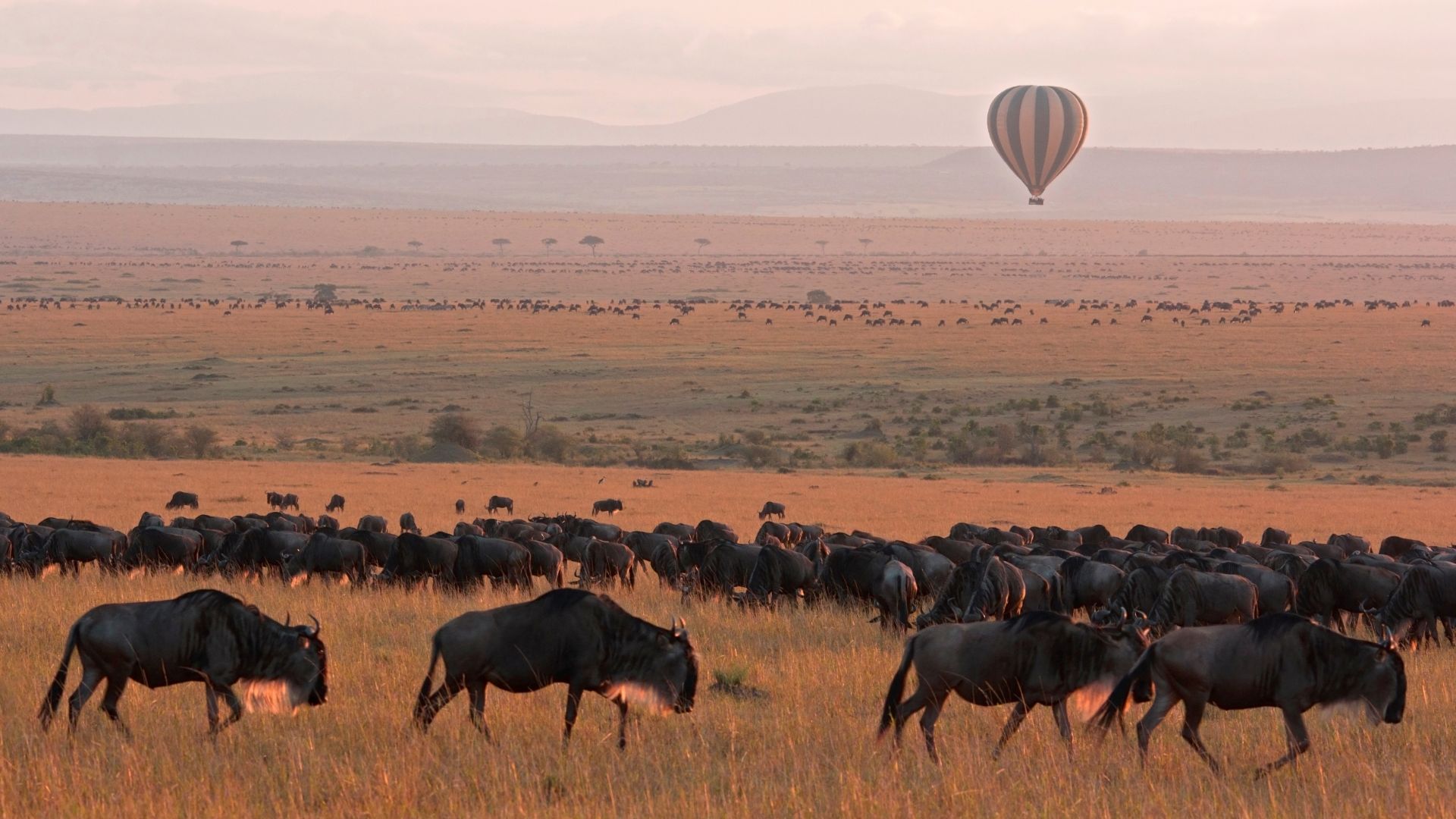 Masai Mara