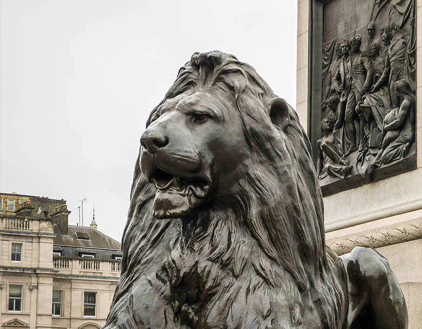 LIONS